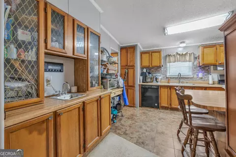 2393 Paynes Rd, Carnesville, GA 30521 photo 15