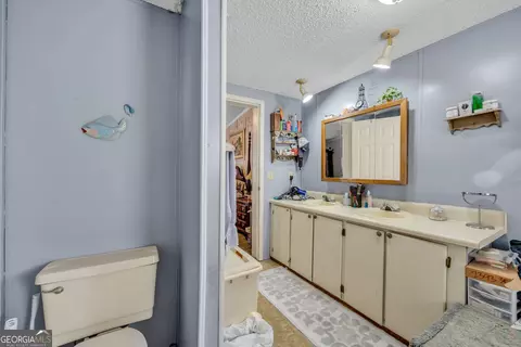 2393 Paynes Rd, Carnesville, GA 30521 photo 34
