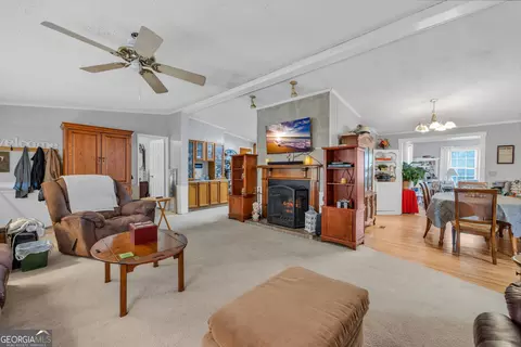 2393 Paynes Rd, Carnesville, GA 30521 photo 14
