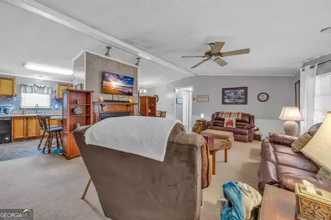 2393 Paynes Rd, Carnesville, GA 30521 photo 11