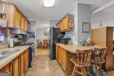 2393 Paynes Rd, Carnesville, GA 30521 photo 17