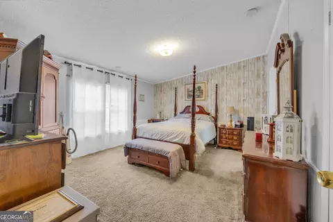 2393 Paynes Rd, Carnesville, GA 30521 photo 30