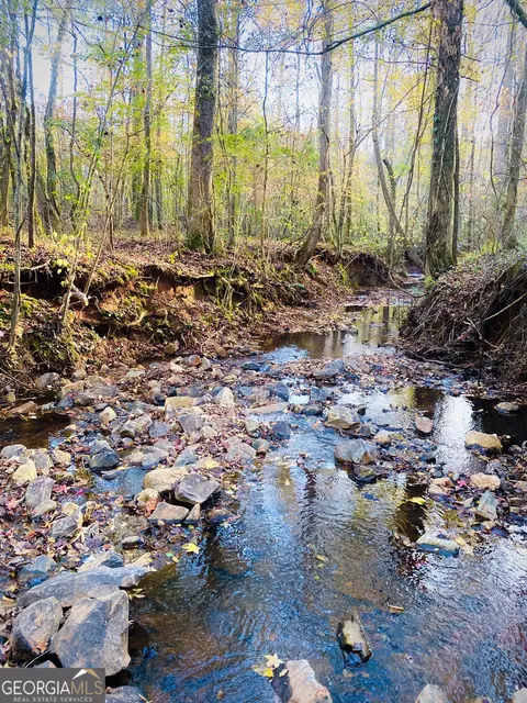 70 Acres Forsyth-yatesville Rd, Yatesville, GA 31097