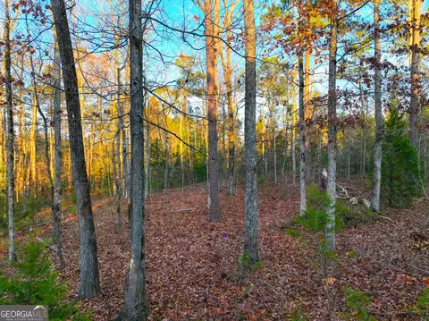 0 Oak Hill Dr, Jackson, GA 30233