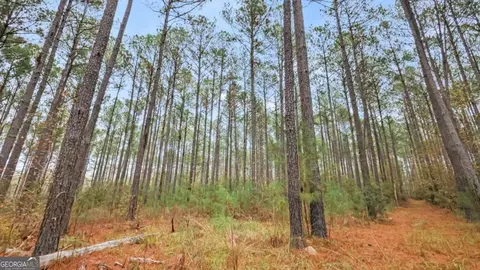 0 Tract 1 Hunter Rd, Ellaville, GA 31806