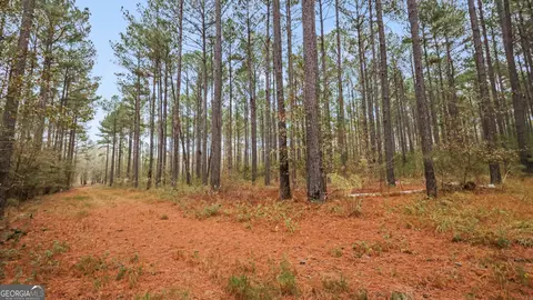 939 Hunter Rd, Ellaville, GA 31806