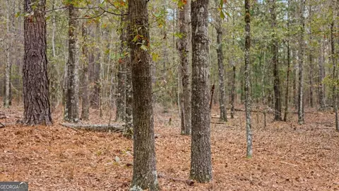 931 Hunter Rd, Ellaville, GA 31806