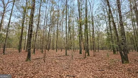 927 Hunter Rd, Ellaville, GA 31806