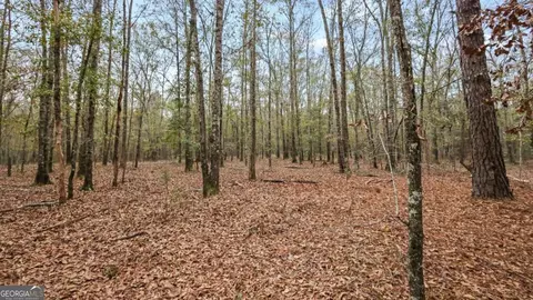 923 Hunter Rd, Ellaville, GA 31806