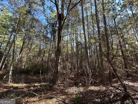 lot21 Cochran Hwy, Eastman, GA 31023