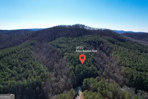 0 Reece Mountain Rd Apt Lot #LOT E17, Ellijay, GA 30536