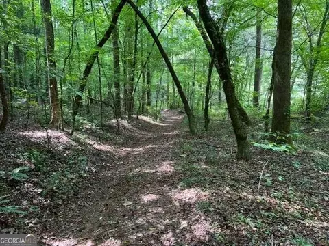 Lot 9 River Escape Drive, Cherry Log, GA 30522