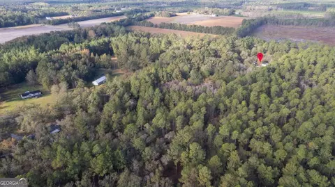 123 Bird Rd, Springfield, GA 31329 photo 24