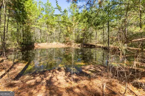123 Bird Rd, Springfield, GA 31329 photo 11