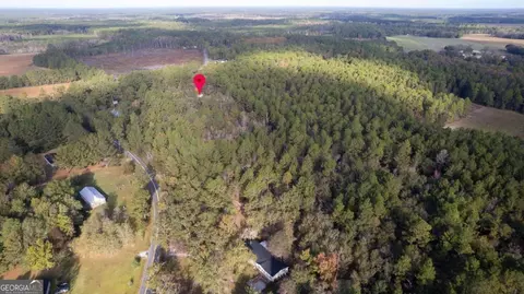 123 Bird Rd, Springfield, GA 31329 photo 26