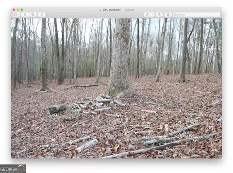 0 Lot 44 Shoals Ln, Clarkesville, GA 30523