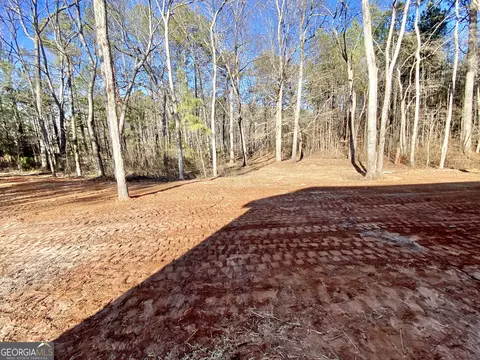 38 Biggers Rd, Buchanan, GA 30113 photo 19