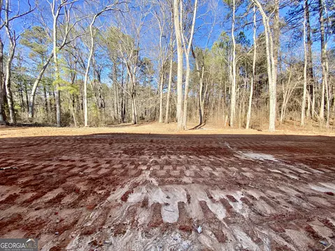 38 Biggers Rd, Buchanan, GA 30113 photo 20