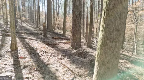 6137 Little Ridge Rd #LOT 3, Acworth, GA 30102