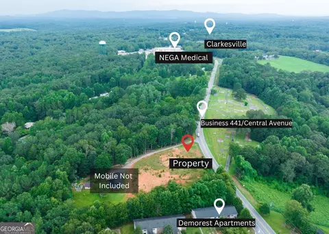 1655 Central Ave, Demorest, GA 30535