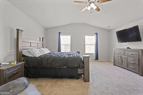 1256 Vienna Ct, Hampton, GA 30228 photo 20
