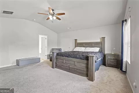 1256 Vienna Ct, Hampton, GA 30228 photo 19