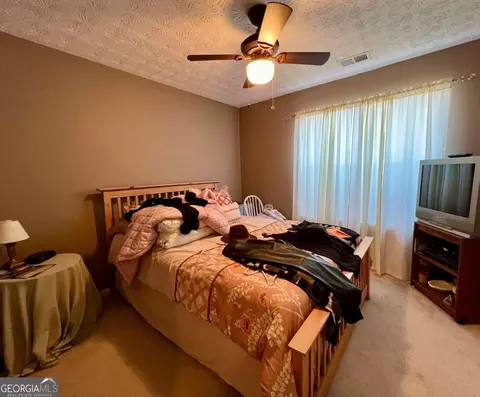 177 Goldleaf Dr, Hampton, GA 30228 photo 10
