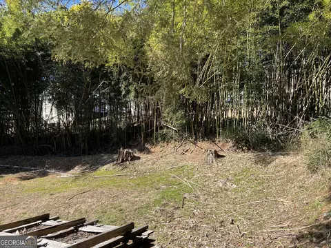 235 Pine Ave, Demorest, GA 30535 photo 3