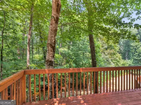 611 Morgan Ct, Hampton, GA 30228 photo 88