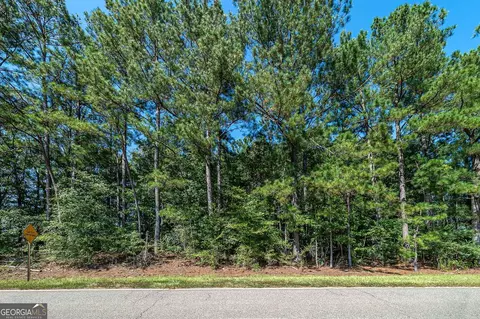 0 Lassiter Rd, Forsyth, GA 31029 photo 7