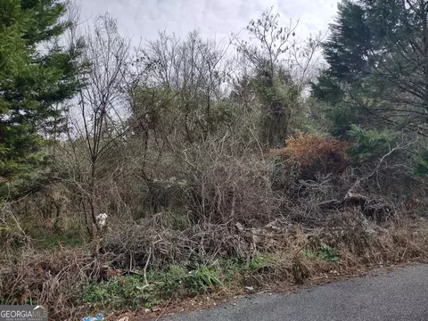 857 Mitchell St, Macon, GA 31217