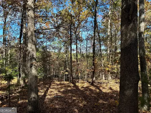 0 Wray Rd, Buchanan, GA 30113 photo 6