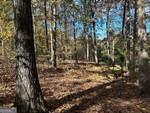 0 Wray Rd, Buchanan, GA 30113 photo 4