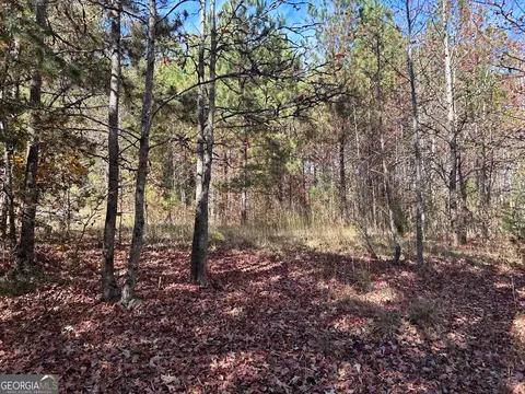 0 Wray Rd, Buchanan, GA 30113 photo 3