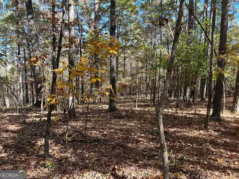0 Wray Rd, Buchanan, GA 30113 photo 7