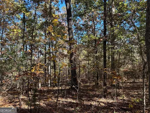 0 Wray Rd, Buchanan, GA 30113 photo 9