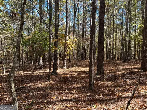 0 Wray Rd, Buchanan, GA 30113 photo 8