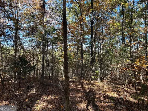 0 Wray Rd, Buchanan, GA 30113 photo 10