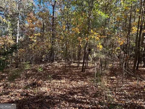 0 Wray Rd, Buchanan, GA 30113 photo 5