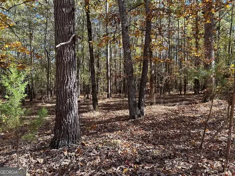 0 Wray Rd, Buchanan, GA 30113 photo 2