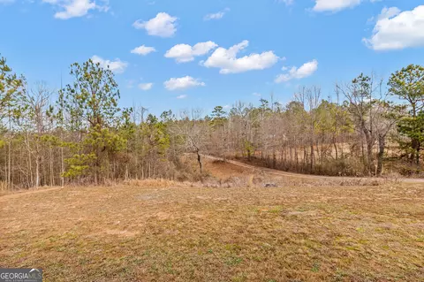 2932 Monroe Mill Rd, Buchanan, GA 30113 photo 23