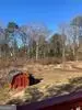 4315 Old Norcross Rd, Duluth, GA 30096 photo 43