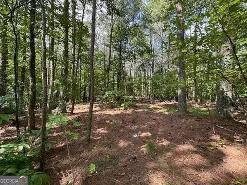 3237 Land Rd, Canton, GA 30114 photo 3