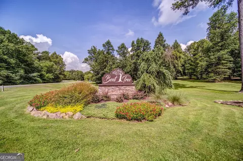 727 Coffee Cove Dr, Jasper, GA 30143 photo 31