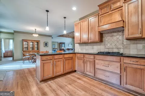 727 Coffee Cove Dr, Jasper, GA 30143 photo 5