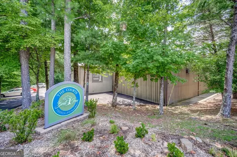 727 Coffee Cove Dr, Jasper, GA 30143 photo 41