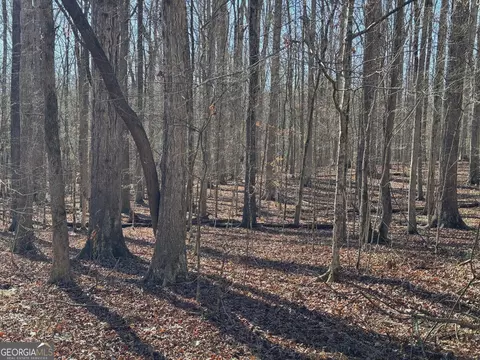 0 Staghorn Trl, Nicholson, GA 30565