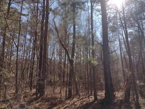 Tract 8 Rosehill Road, Meansville, GA 30256
