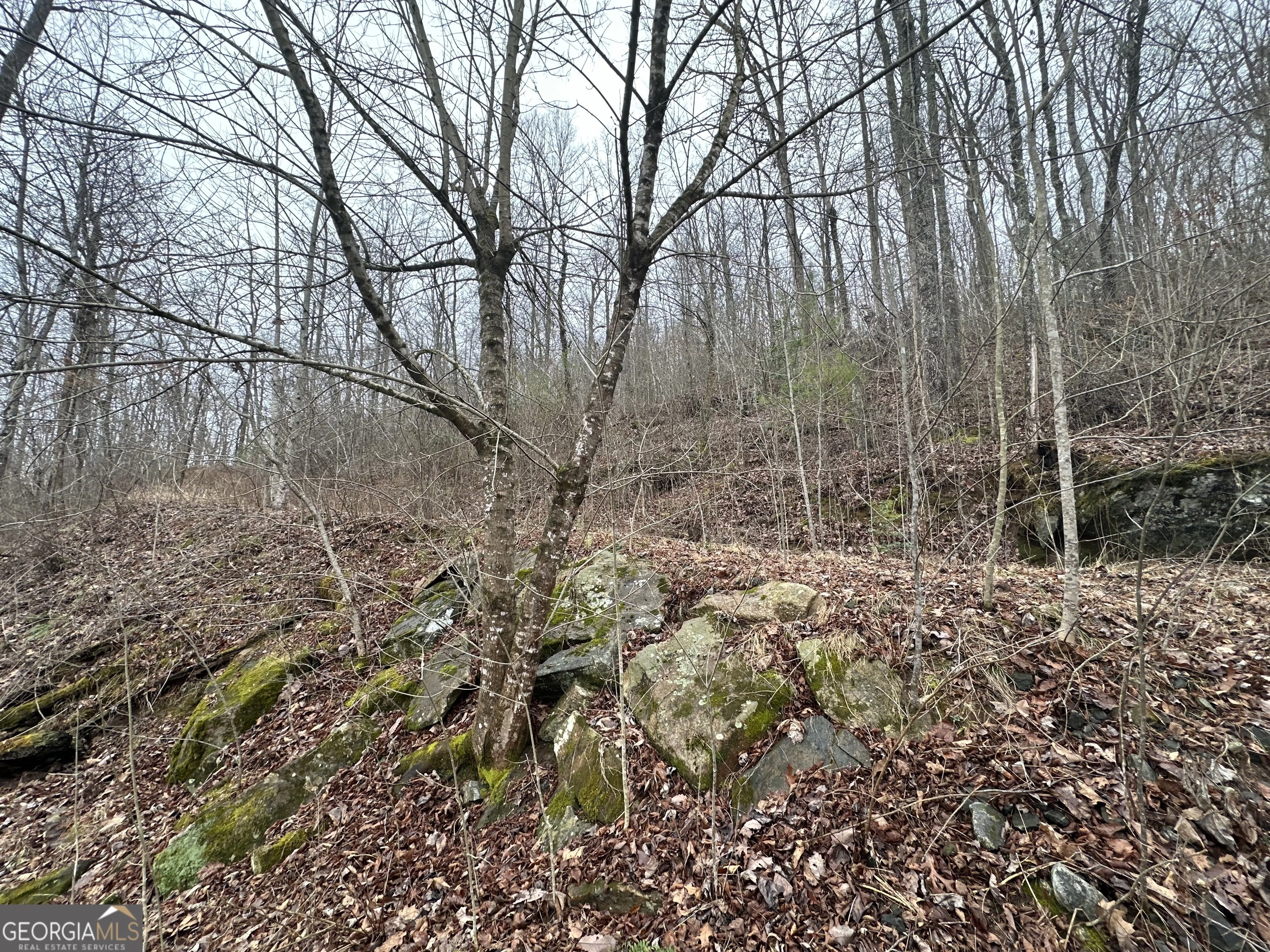 10 10a Mossy Oak Ln Unit A  