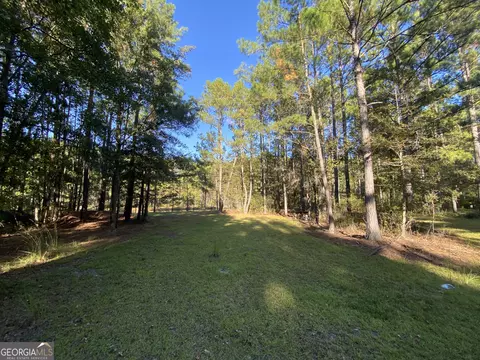101 Elbert Arnsdorff, Springfield, GA 31329 photo 5